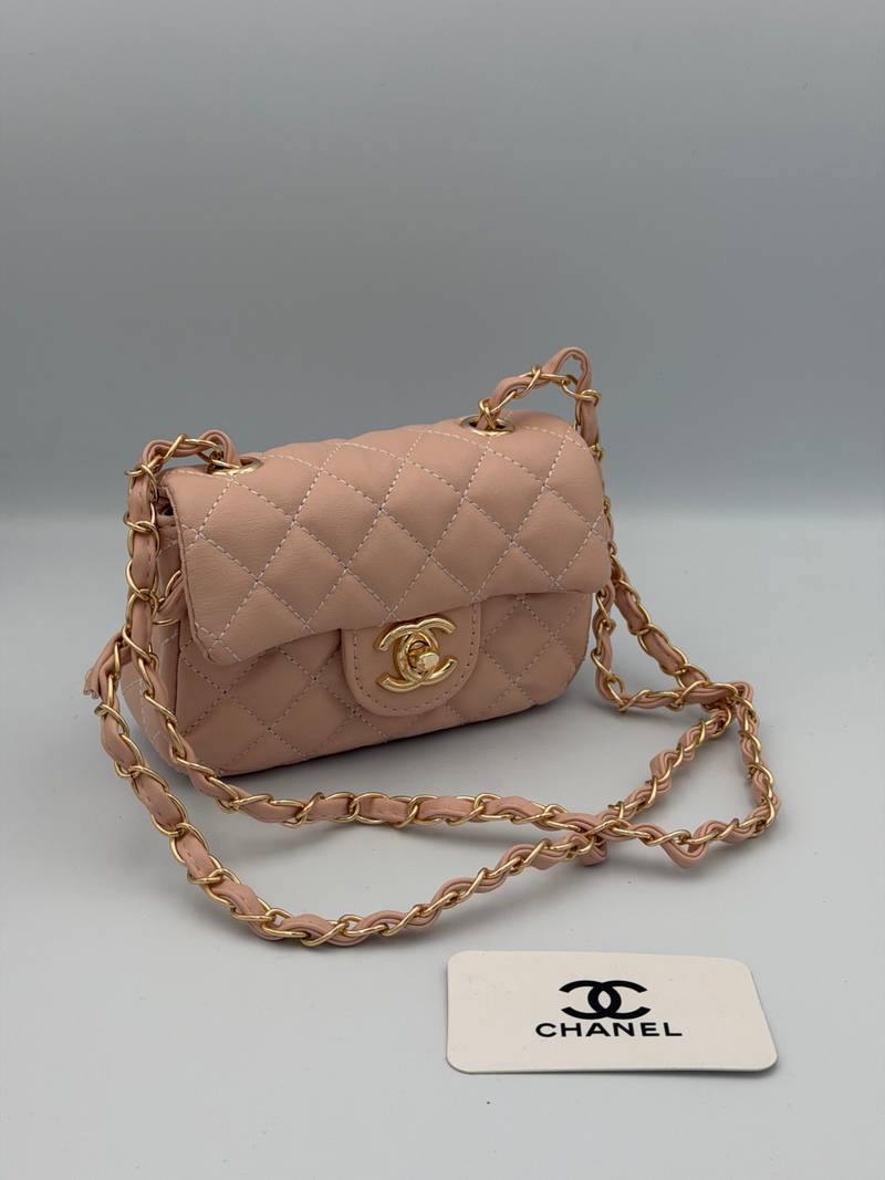 CHANEL JUMBO 15CM Crevettes – Image 1